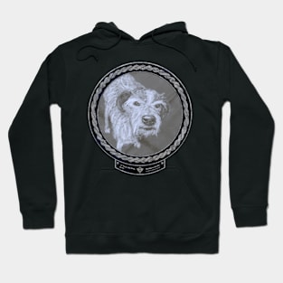 17 Year Old Dog (frame Moonsilver Celtic Rope) Hoodie